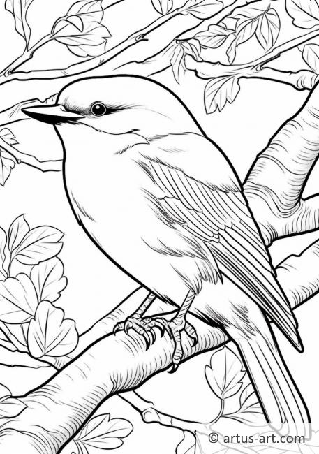 Nuthatch Coloring Page For Kids